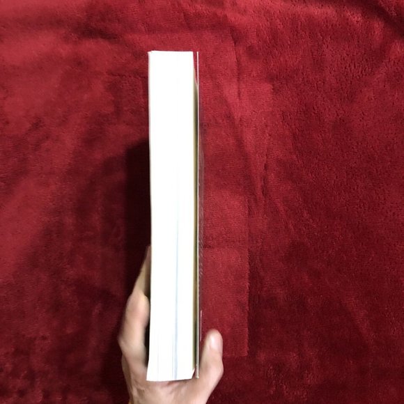 The Norton Anthology of World Literature, Vol. C 3rd Edition - Picture 6 of 12